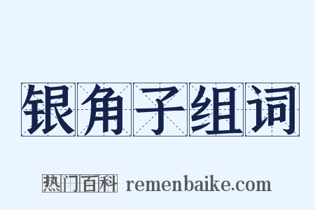 银角子组词是什么意思的图片